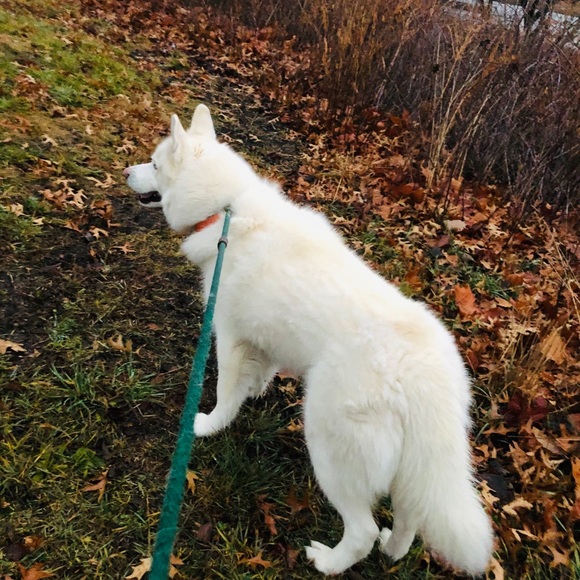 Meet your Posher, Karen - Picture 12 of 16